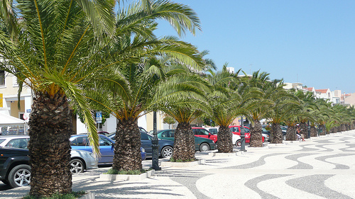 Argostoli - Photo Attribution: Pickle Argostoli