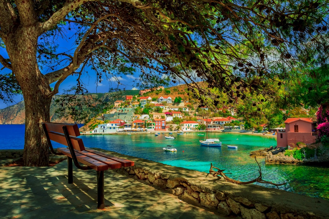 'Bench under a tree on a sunny day at Assos beach, Kefalonia, Greece' - Cefalonia